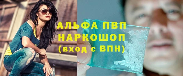 Альфа ПВП Белокуриха