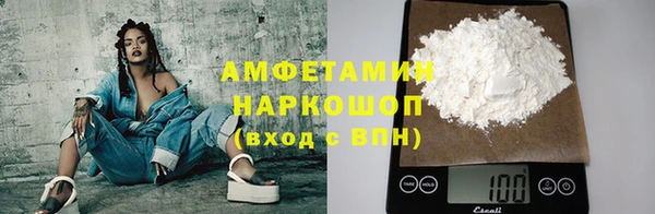 шишки Белоозёрский