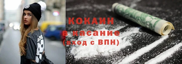 шишки Белоозёрский