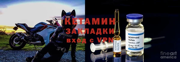 шишки Белоозёрский