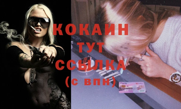 шишки Белоозёрский