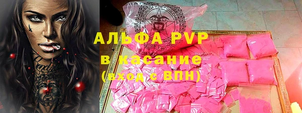 шишки Белоозёрский