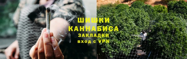 шишки Белоозёрский