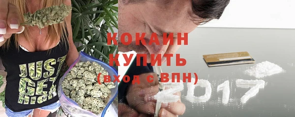 Альфа ПВП Белокуриха