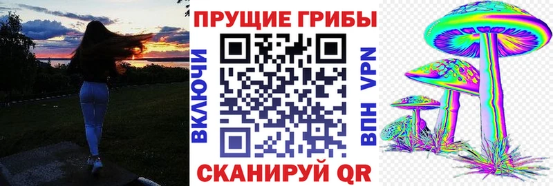 Псилоцибиновые грибы мицелий Гулькевичи