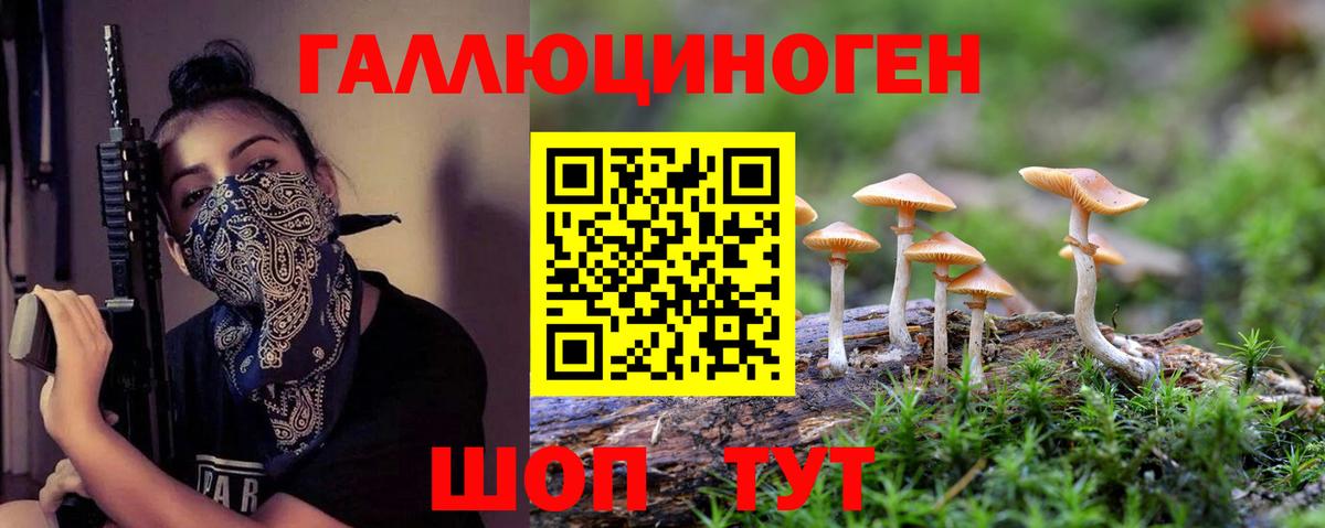 Галлюциногенные грибы MAGIC MUSHROOMS  купить  цена  Вход с VPN  Гулькевичи  Галлюциногенные грибы Magic Shrooms 